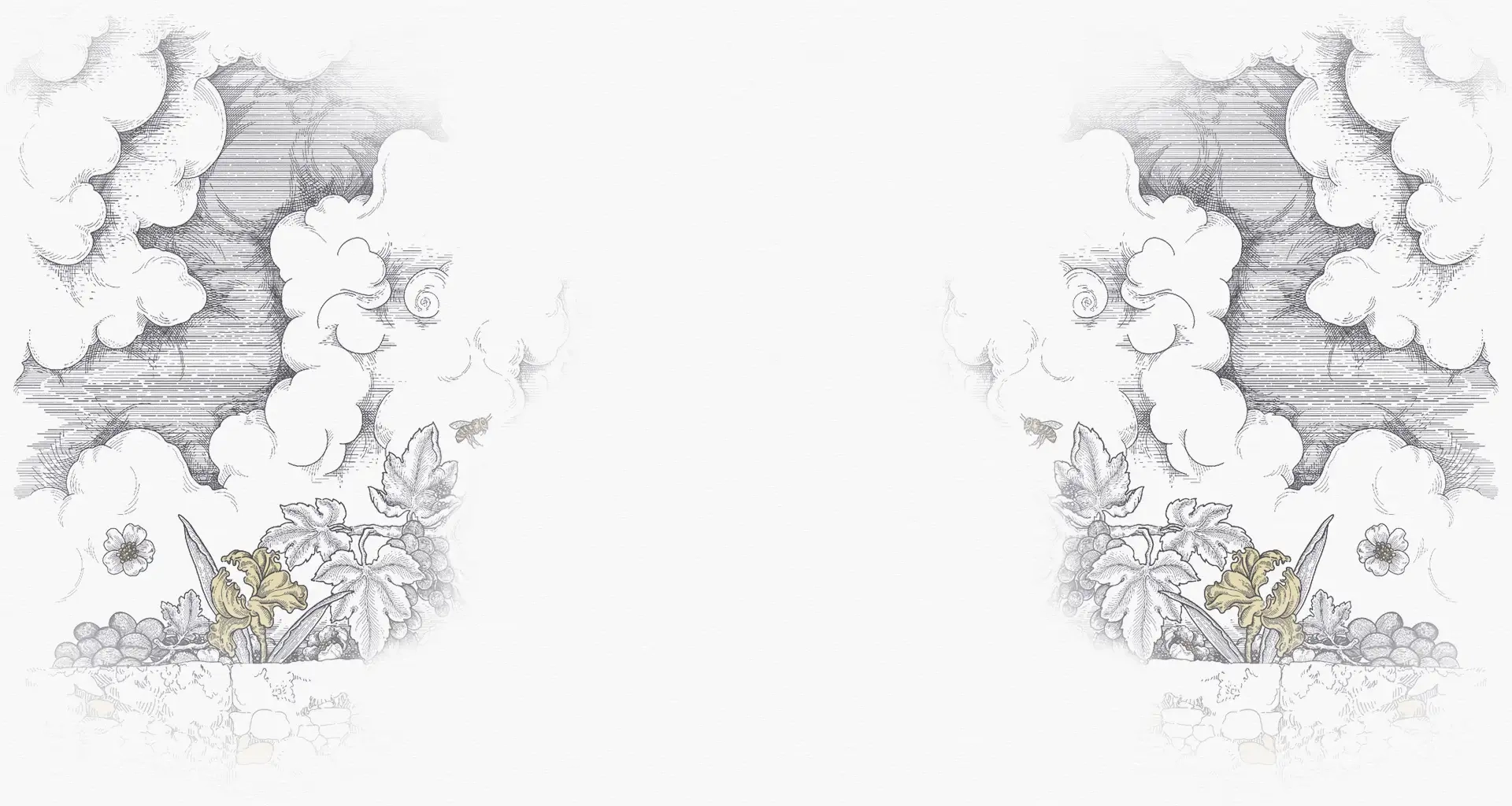 Domaine Drost Accueil